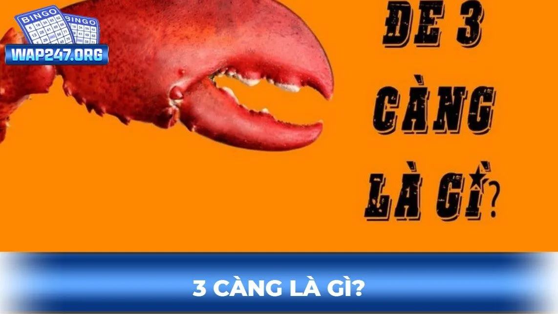 3 càng là gì?