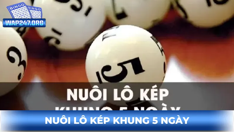 giới thiệu nuôi lô kép khung 5 ngày