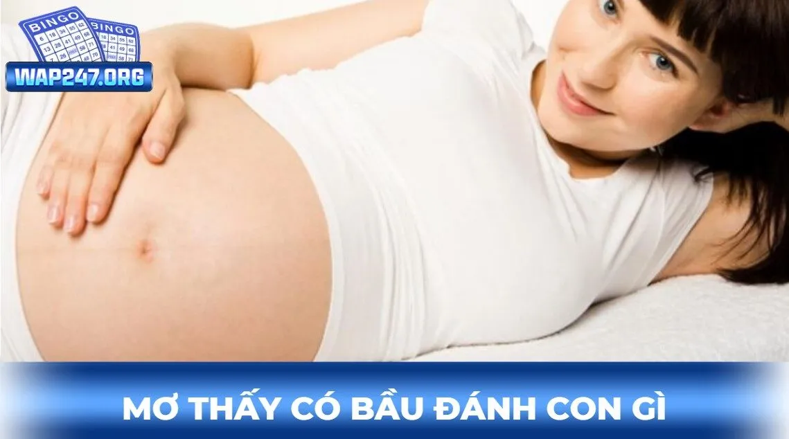 mơ thấy có bầu đánh con gì