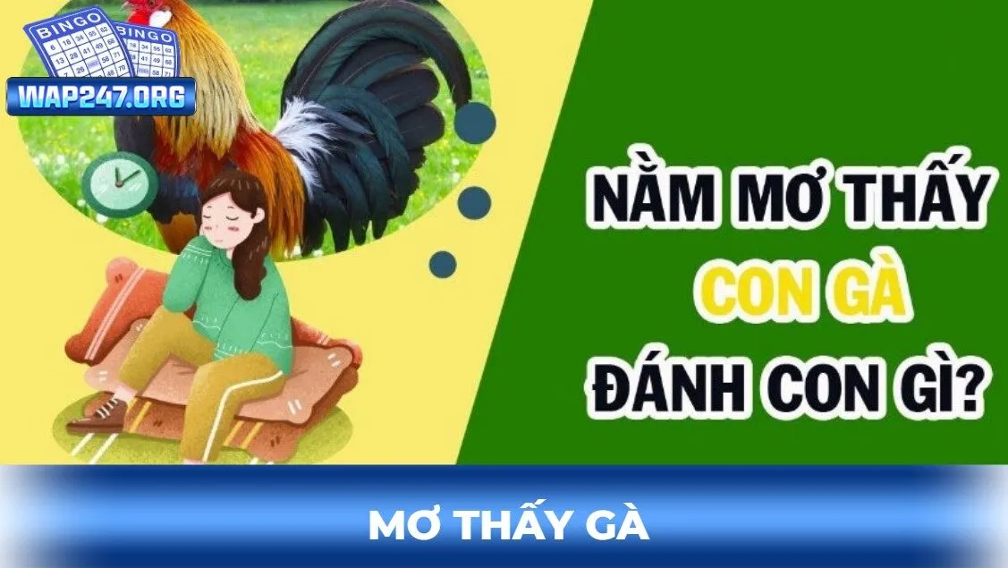 mơ thấy gà