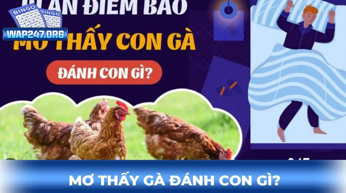 Cập nhật ngay những con số trong giấc mơ thấy gà để đánh đề