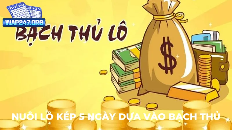 Phương pháp nuôi lô kép khung 5 ngày dựa vào bạch thủ lô